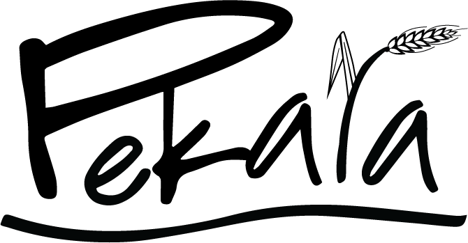 dark logo